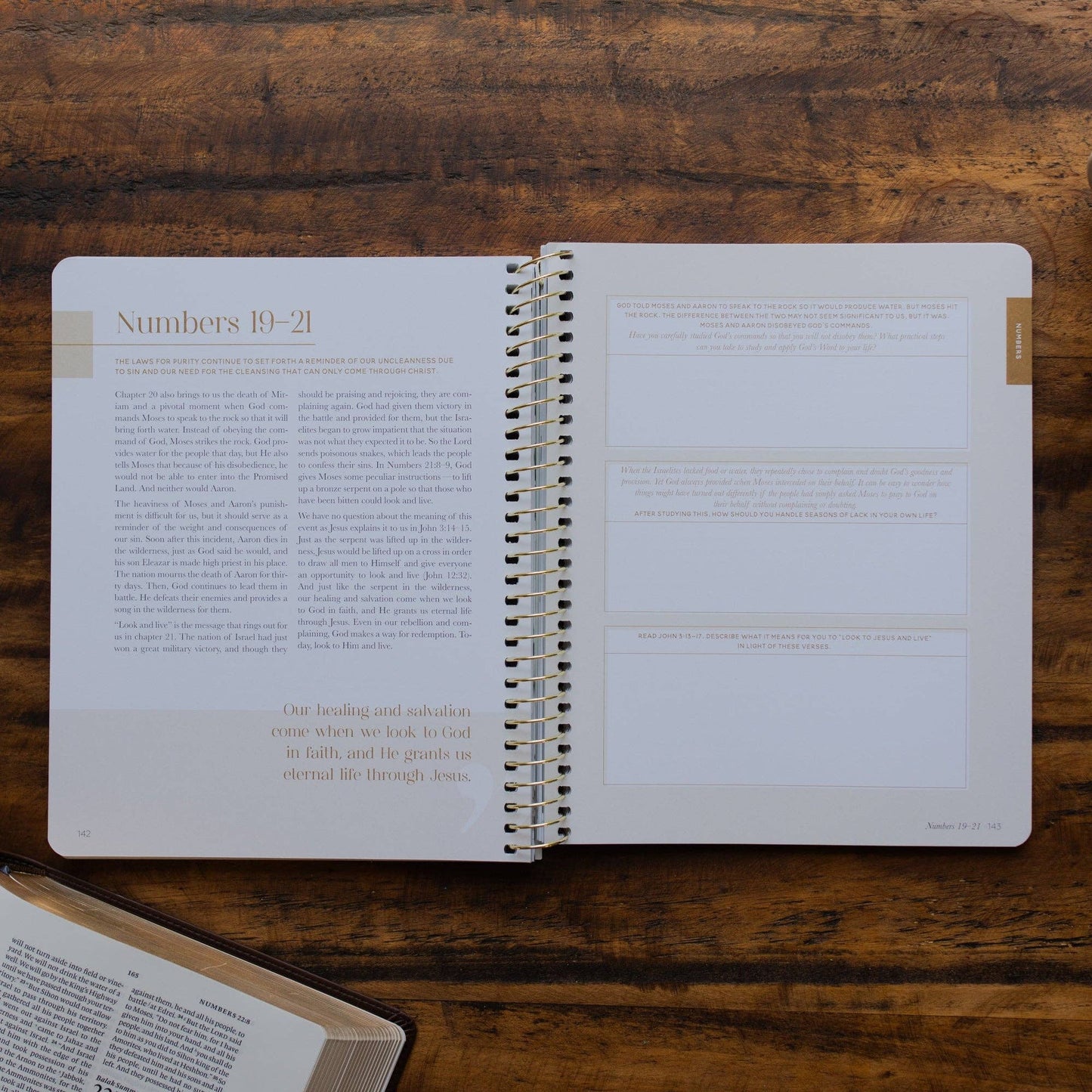 Eden to Eternity | Chronological Bible Study | Volume 1 (Spiral Bound)