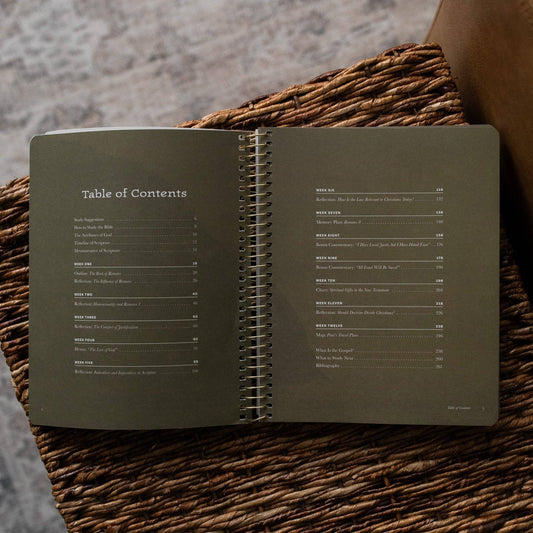 In Christ Alone: A Study on the Book of Romans - Men's