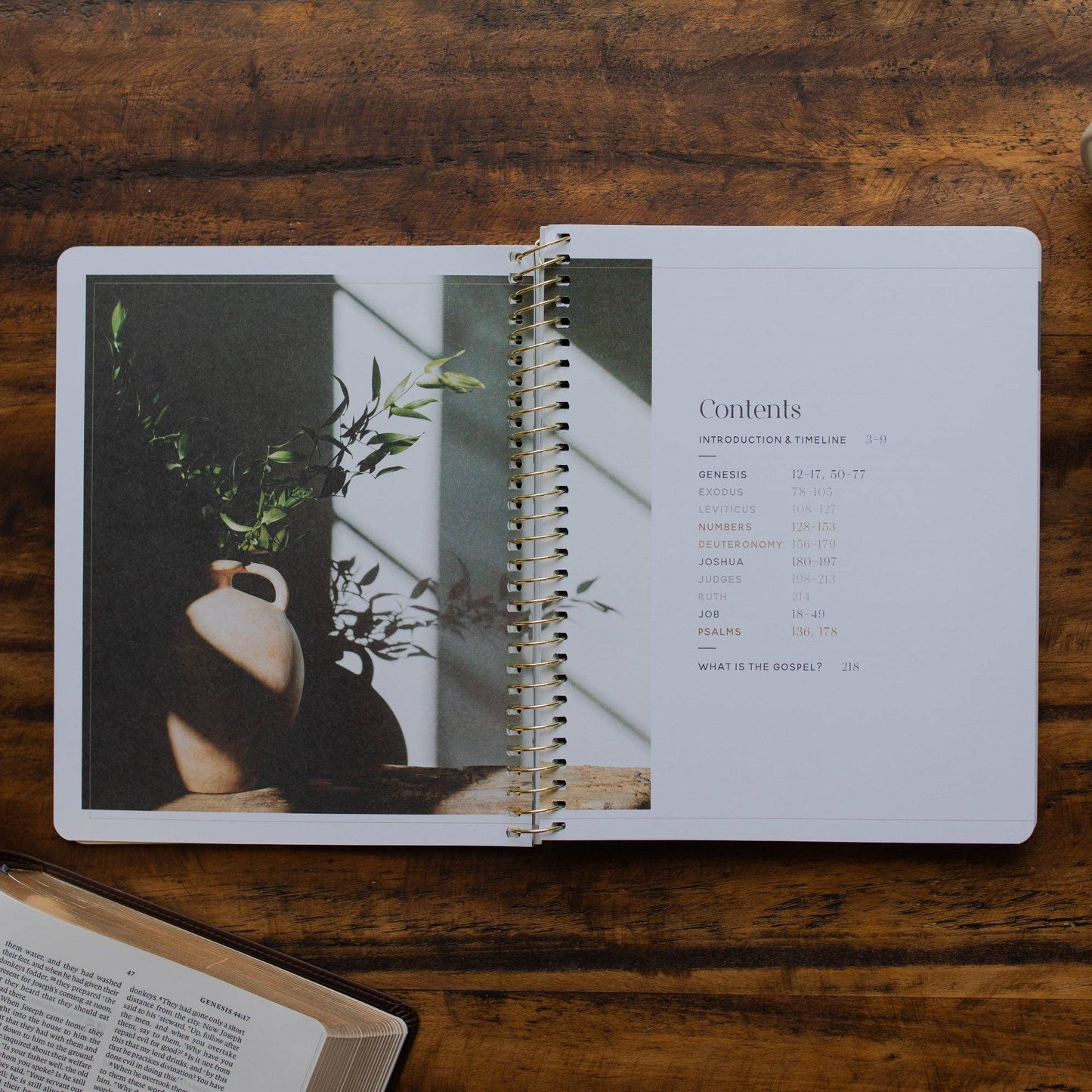 Eden to Eternity | Chronological Bible Study | Volume 1 (Spiral Bound)