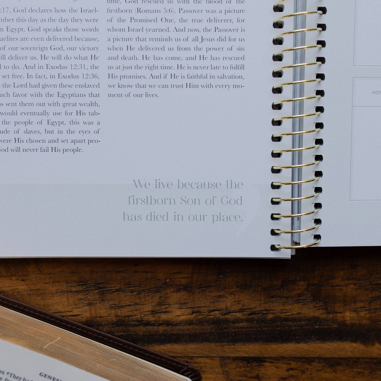 Eden to Eternity | Chronological Bible Study | Volume 1 (Spiral Bound)